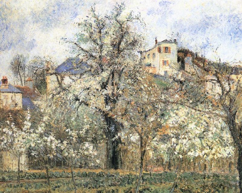 Camille Pissarro Pang plans spring Schwarz France oil painting art